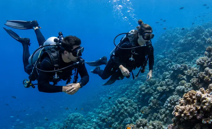 Scuba divers wearing black wetsuits underwater