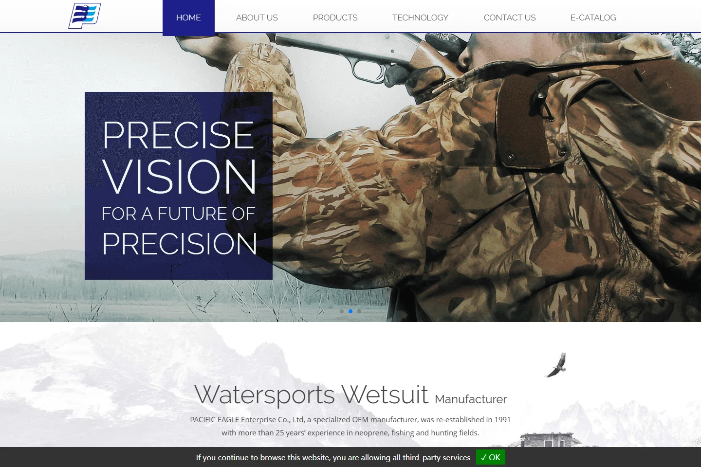 Pacific Eagle official homepage screenshot showing its website identity and public product presentation