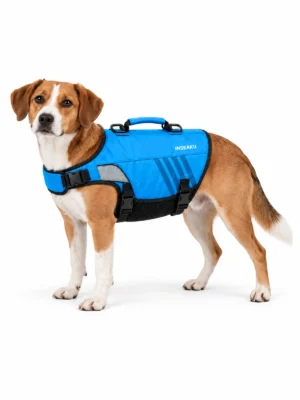 Brown and white dog wearing a blue INSEAKU pet buoyancy vest with fastened straps on a white background